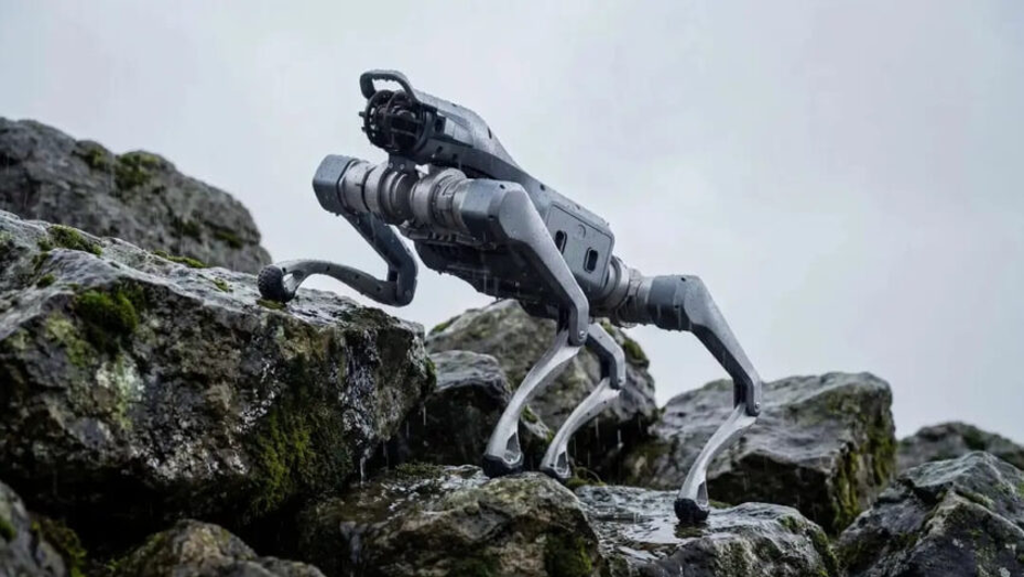 Robot Köpek