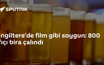 Guinness soygunu