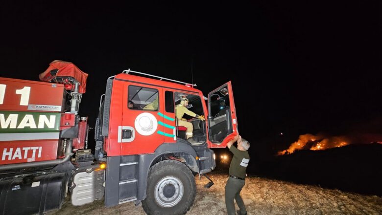 Çukurova yangını